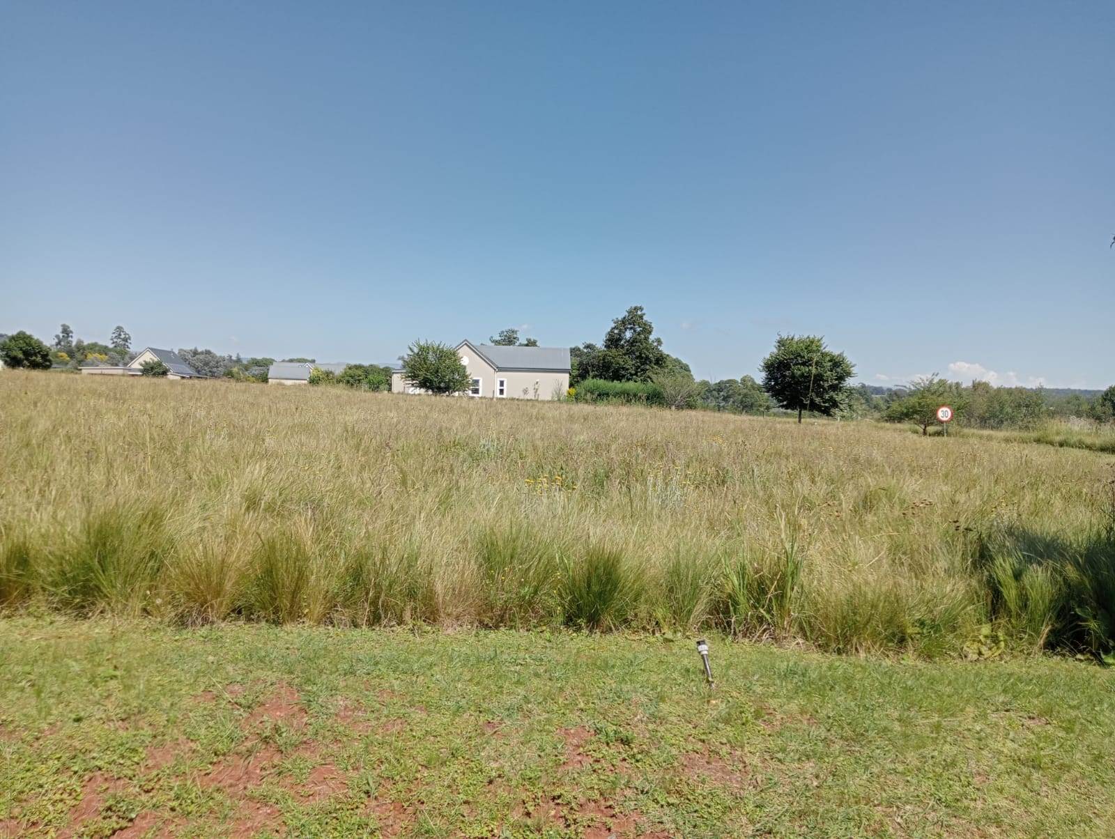 1600 m² Land available in Howick photo number 8
