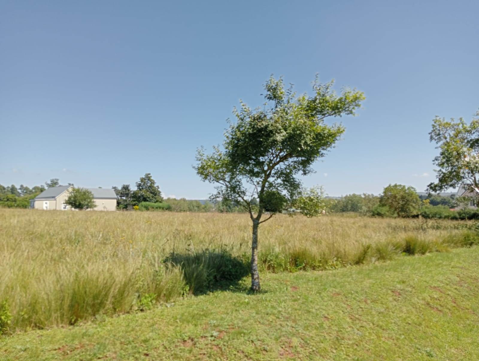 1600 m² Land available in Howick photo number 5