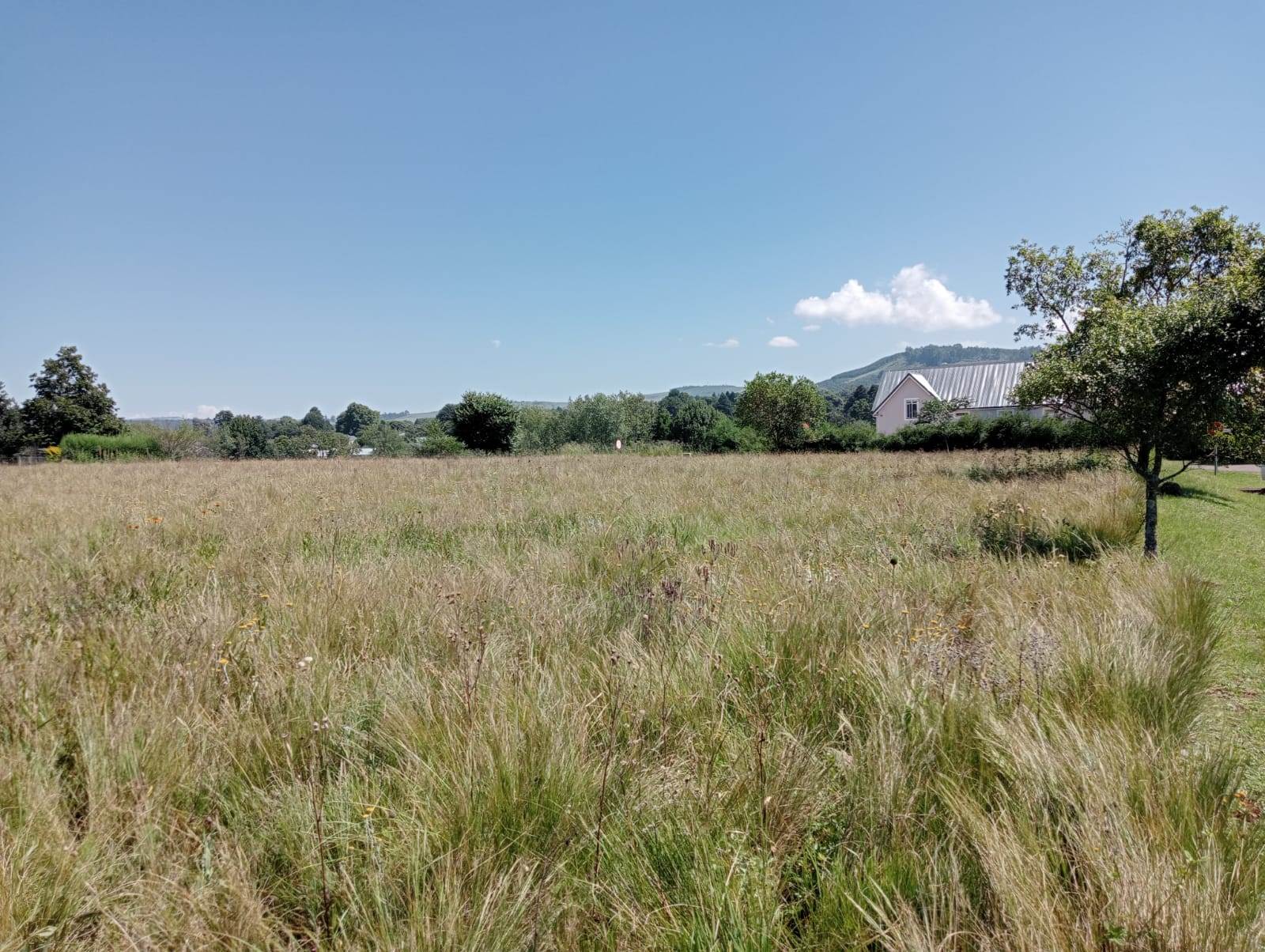 1600 m² Land available in Howick photo number 1