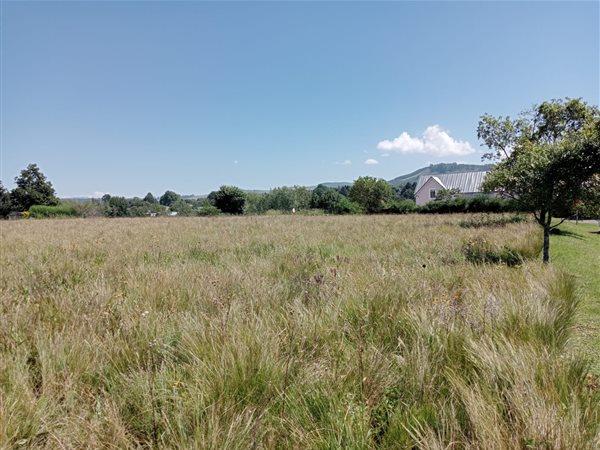 1600 m² Land