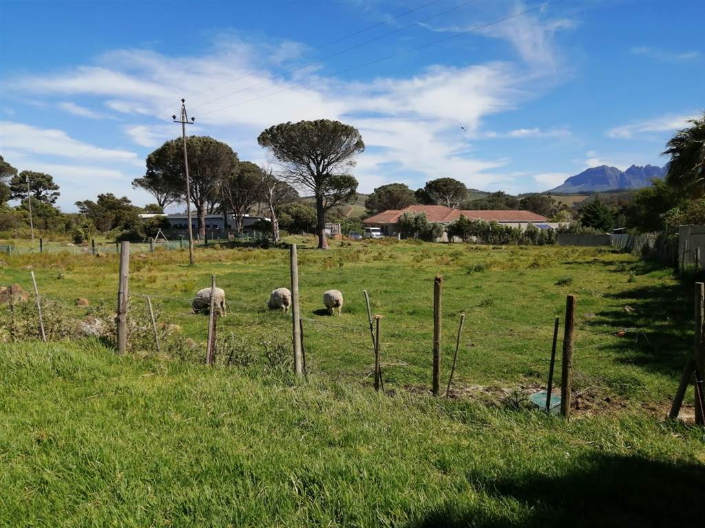 3030 m² Land available in Sir Lowrys and surrounds photo number 8