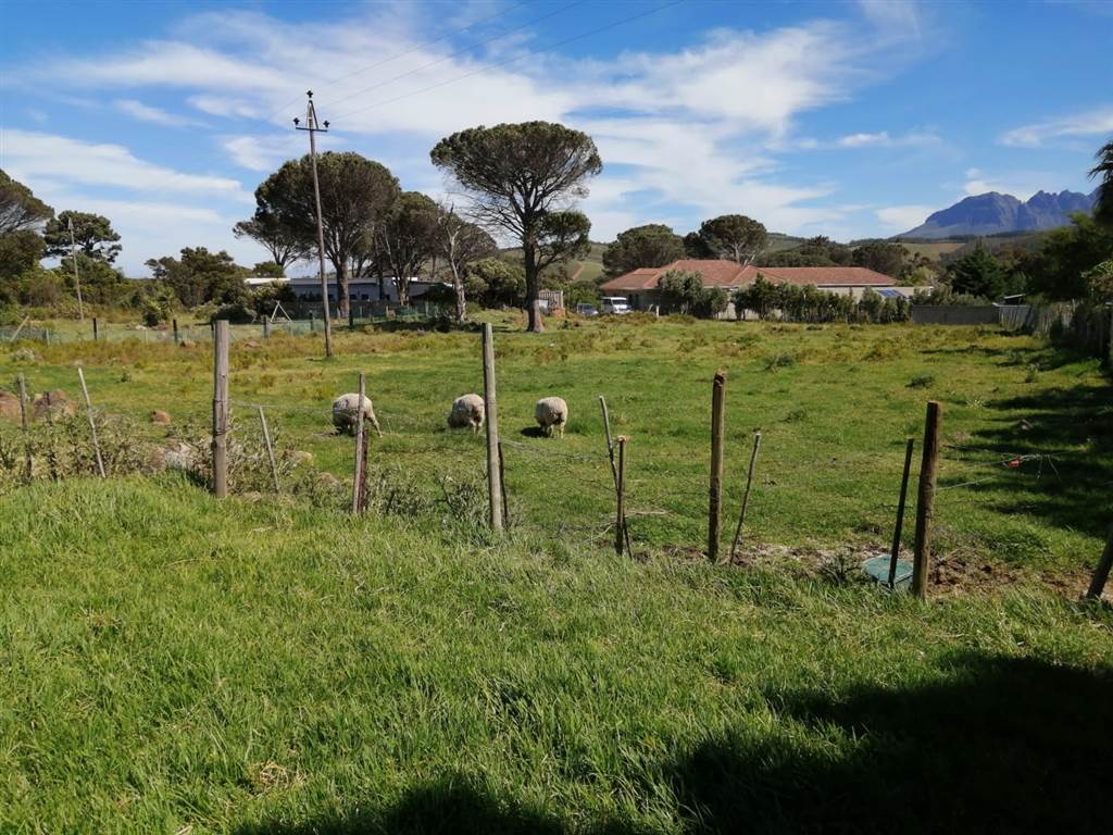 3030 m² Land available in Sir Lowrys and surrounds photo number 7