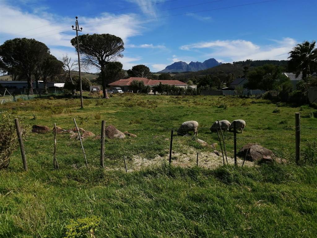 3030 m² Land available in Sir Lowrys and surrounds photo number 6