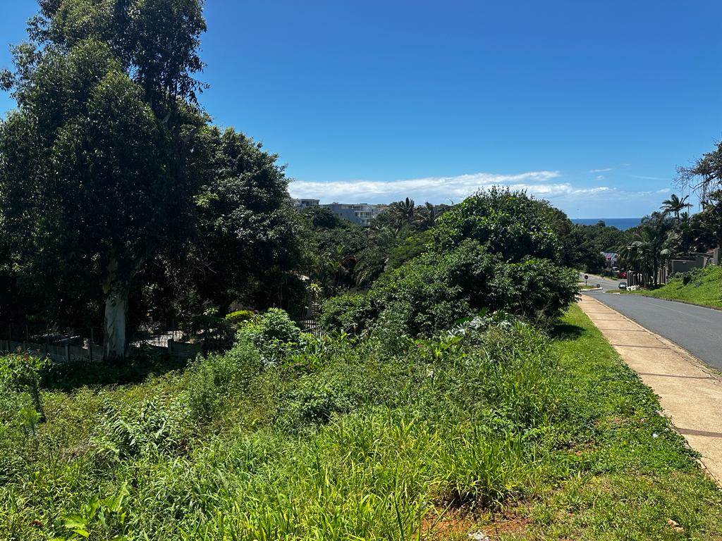 1319 m² Land available in Ballito photo number 7