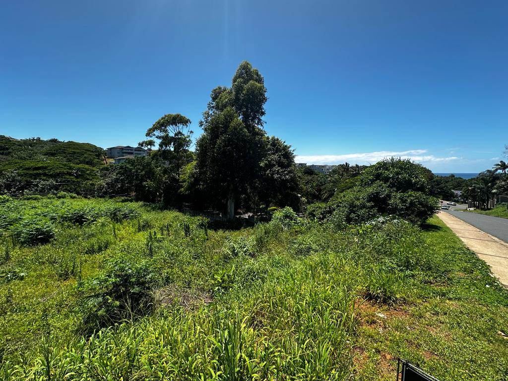 1319 m² Land available in Ballito photo number 6