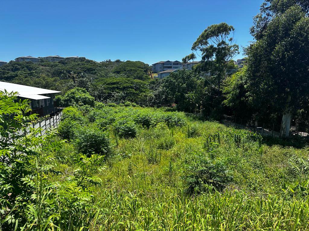 1319 m² Land available in Ballito photo number 3
