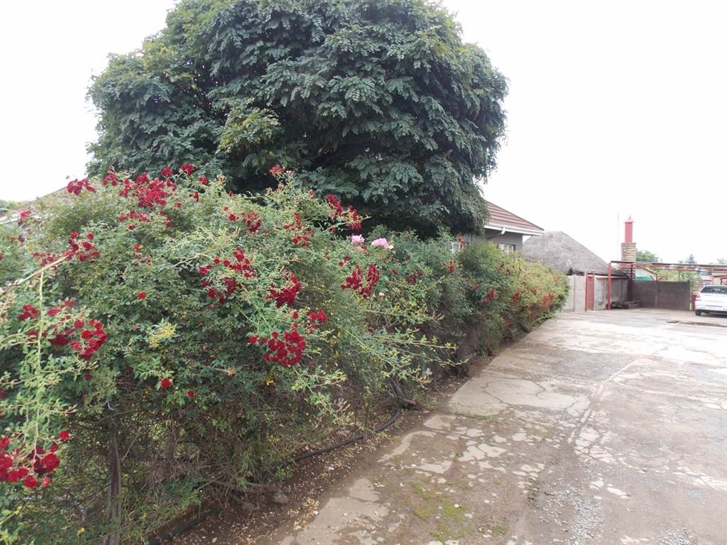 4 Bed House in Clocolan photo number 25