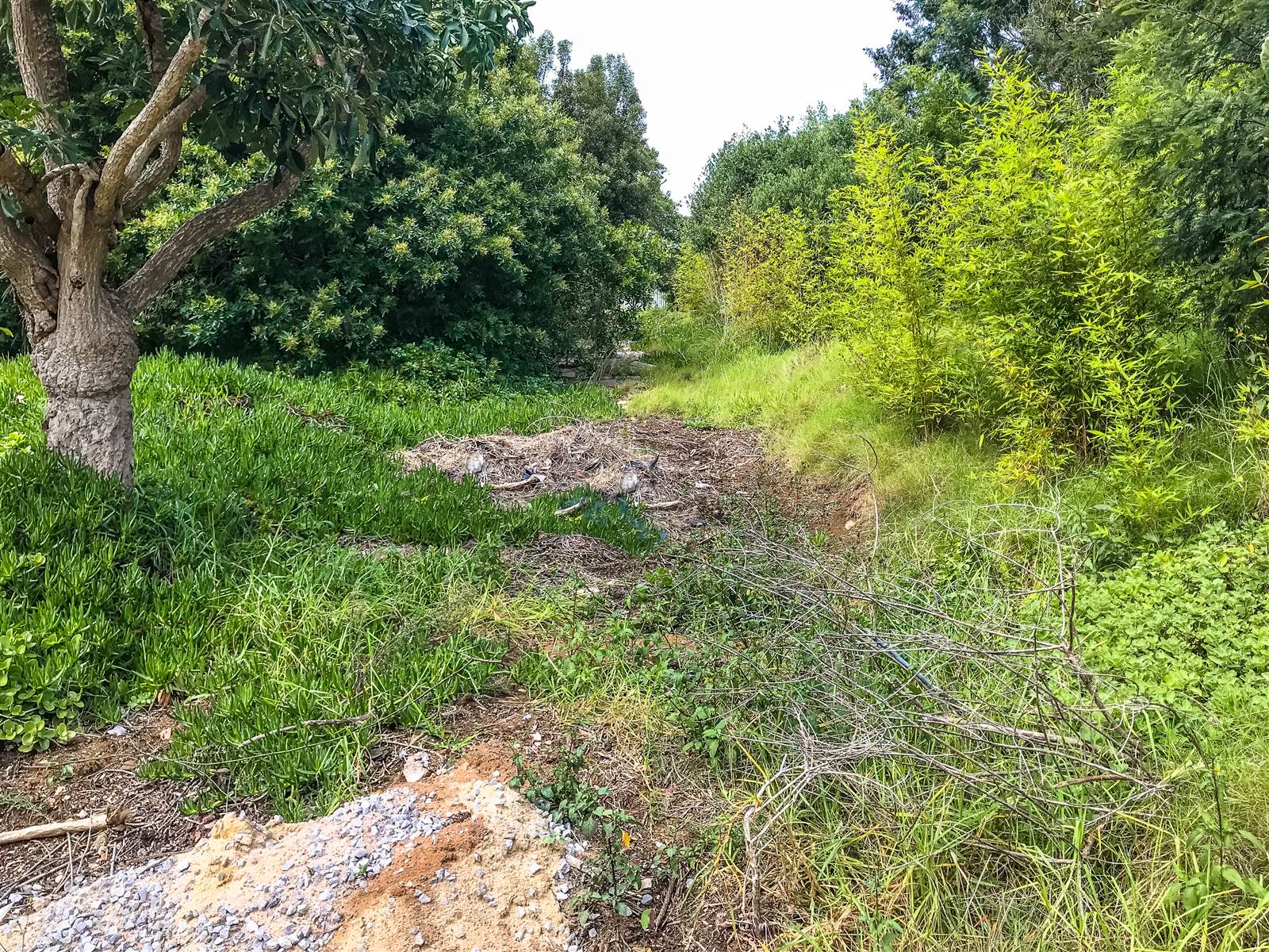1093 m² Land available in Knysna Heights photo number 9