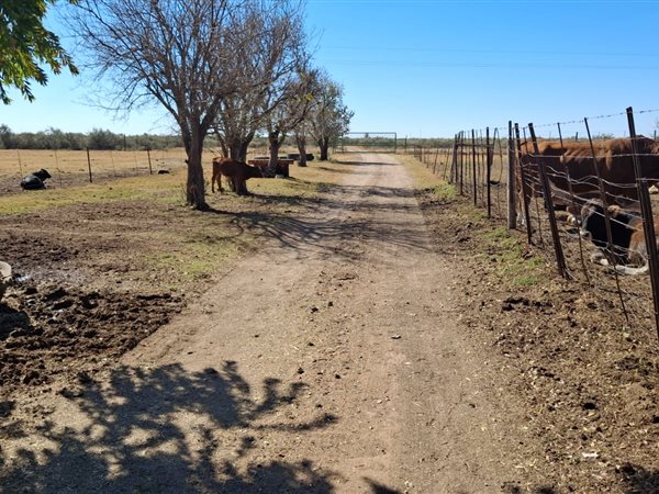21.4 ha Farm