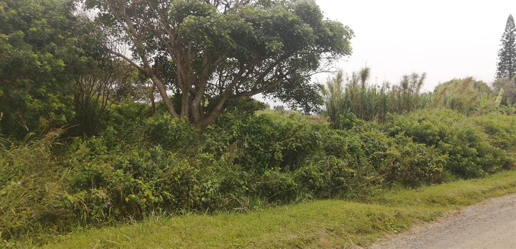 1252 m² Land available in Port Edward photo number 2
