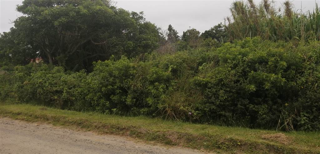 1252 m² Land available in Port Edward photo number 6
