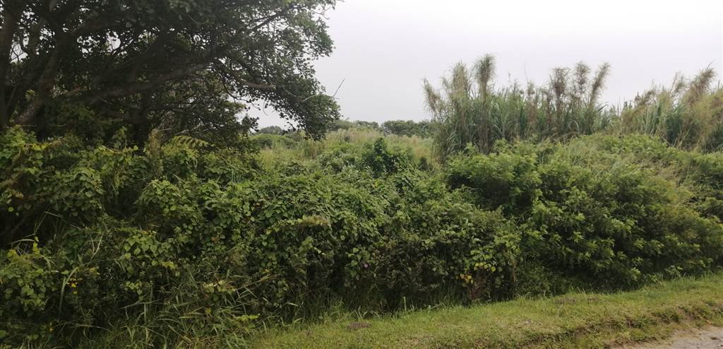 1252 m² Land available in Port Edward photo number 4