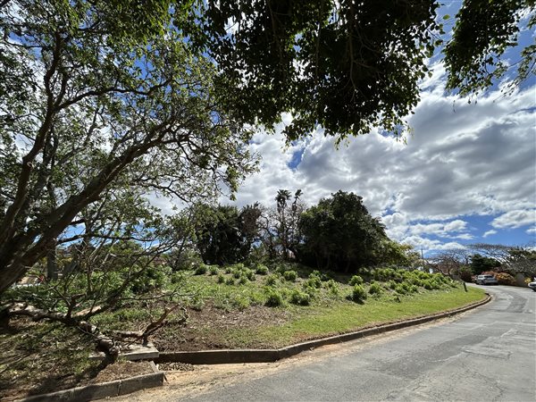1110 m² Land available in Shelly Beach
