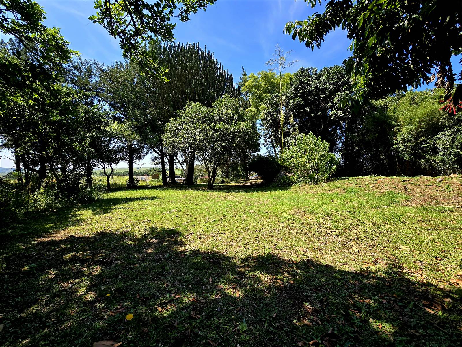 1200 m² Land available in Melmoth photo number 2