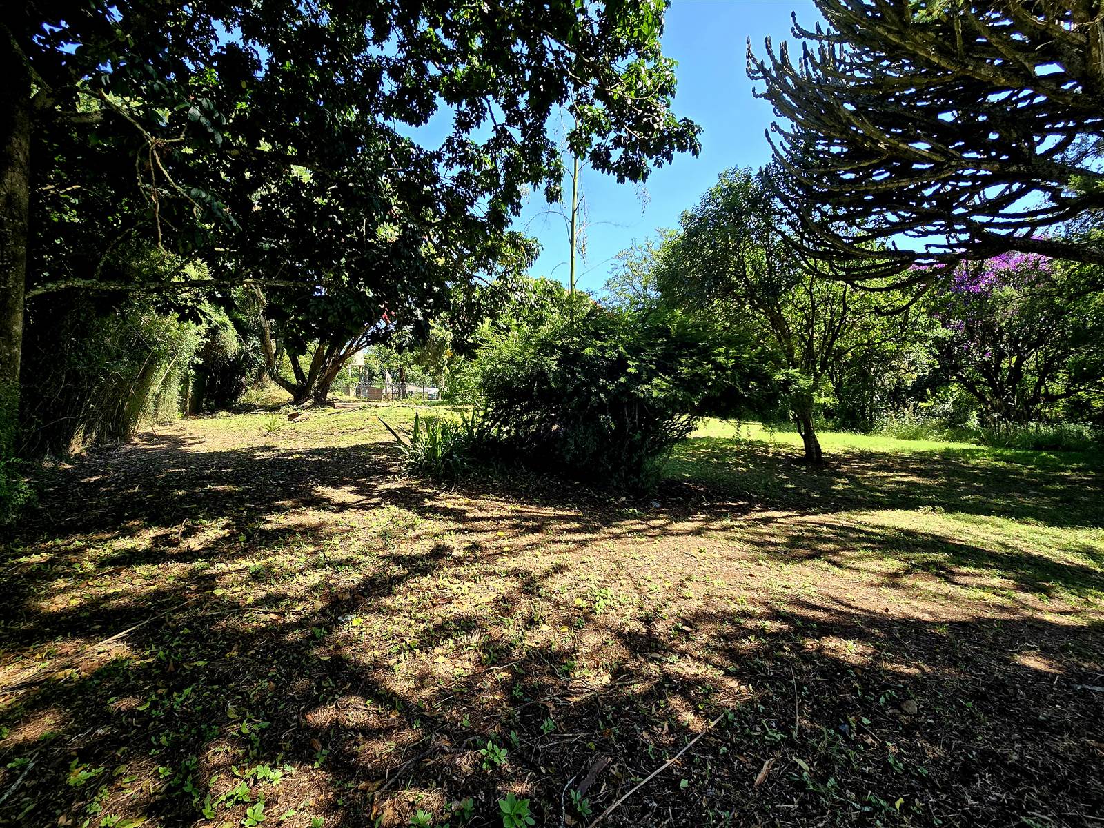 1200 m² Land available in Melmoth photo number 7