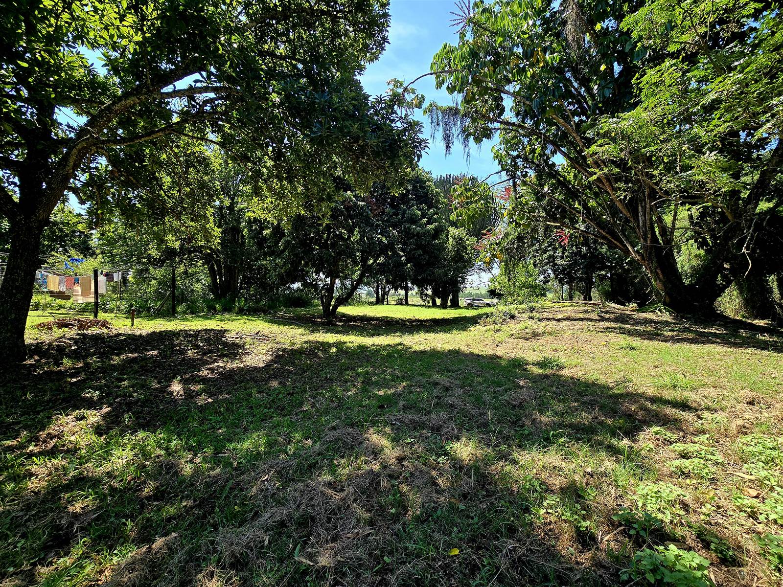 1200 m² Land available in Melmoth photo number 5