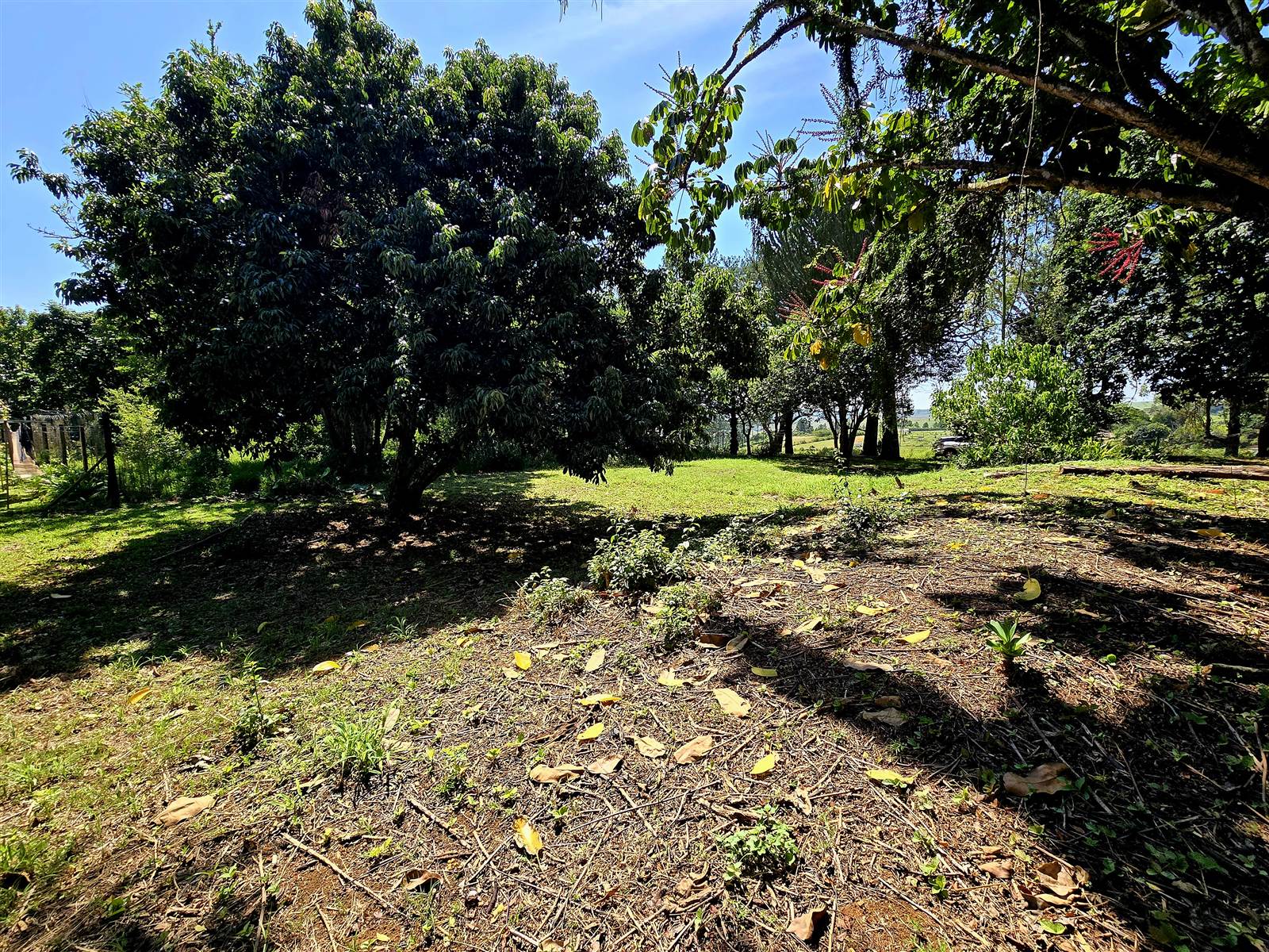 1200 m² Land available in Melmoth photo number 1