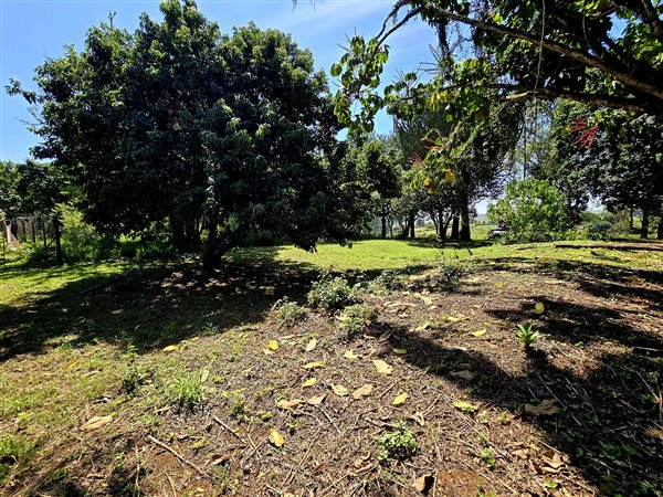 1200 m² Land available in Melmoth