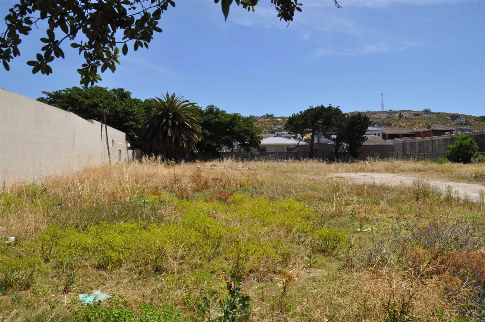 1045 m² Land available in Saldanha photo number 3