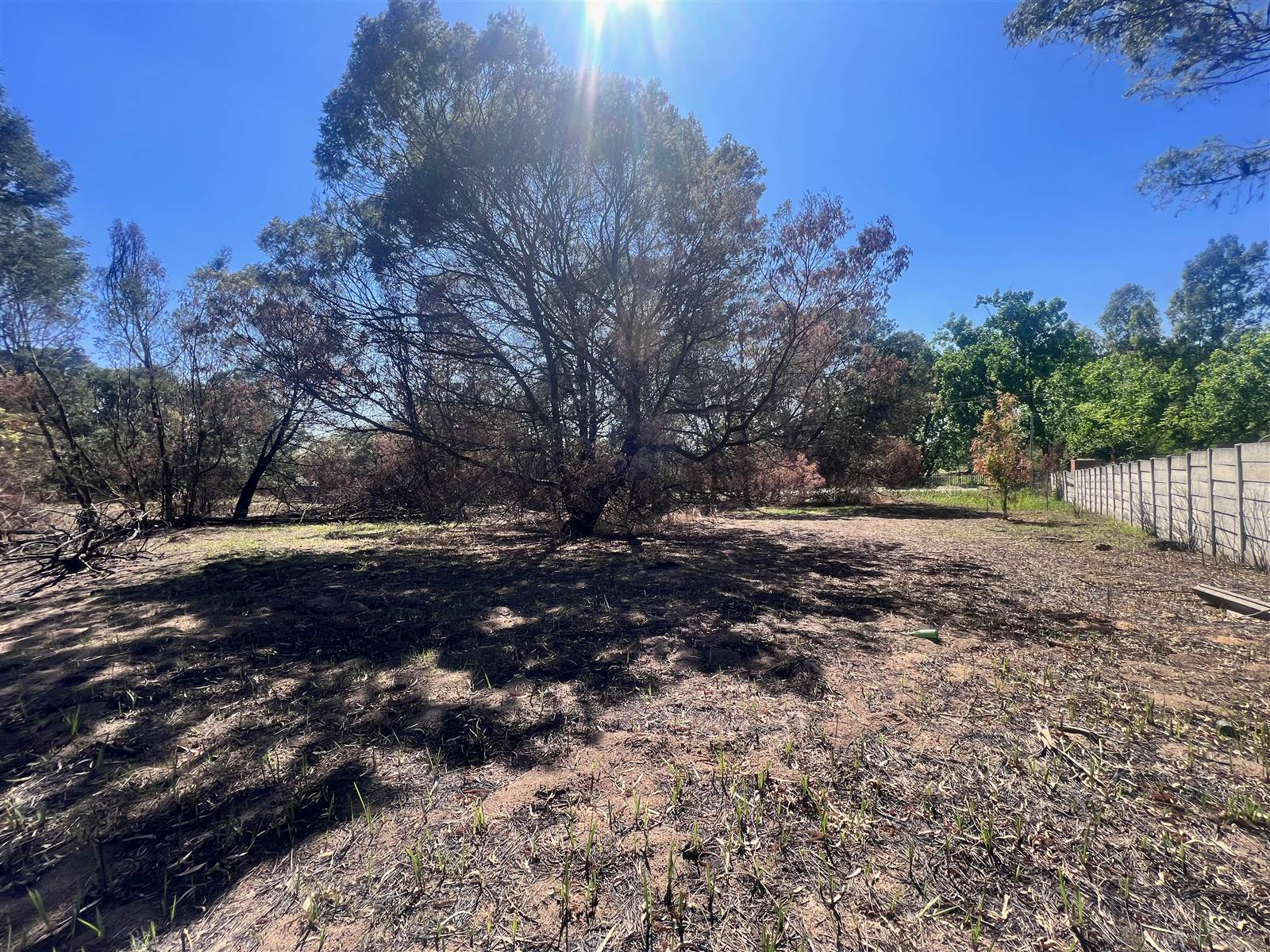 1.7 ha Land available in Glen Austin photo number 8