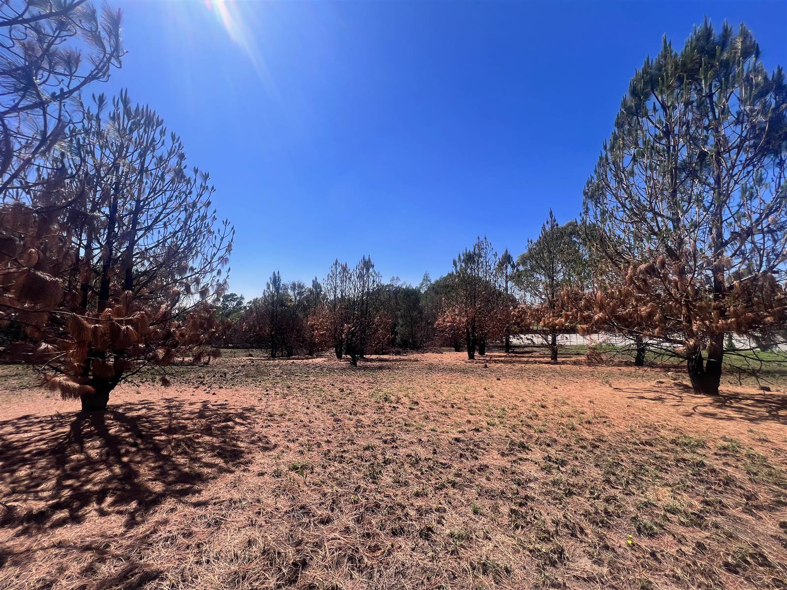 1.7 ha Land available in Glen Austin photo number 9