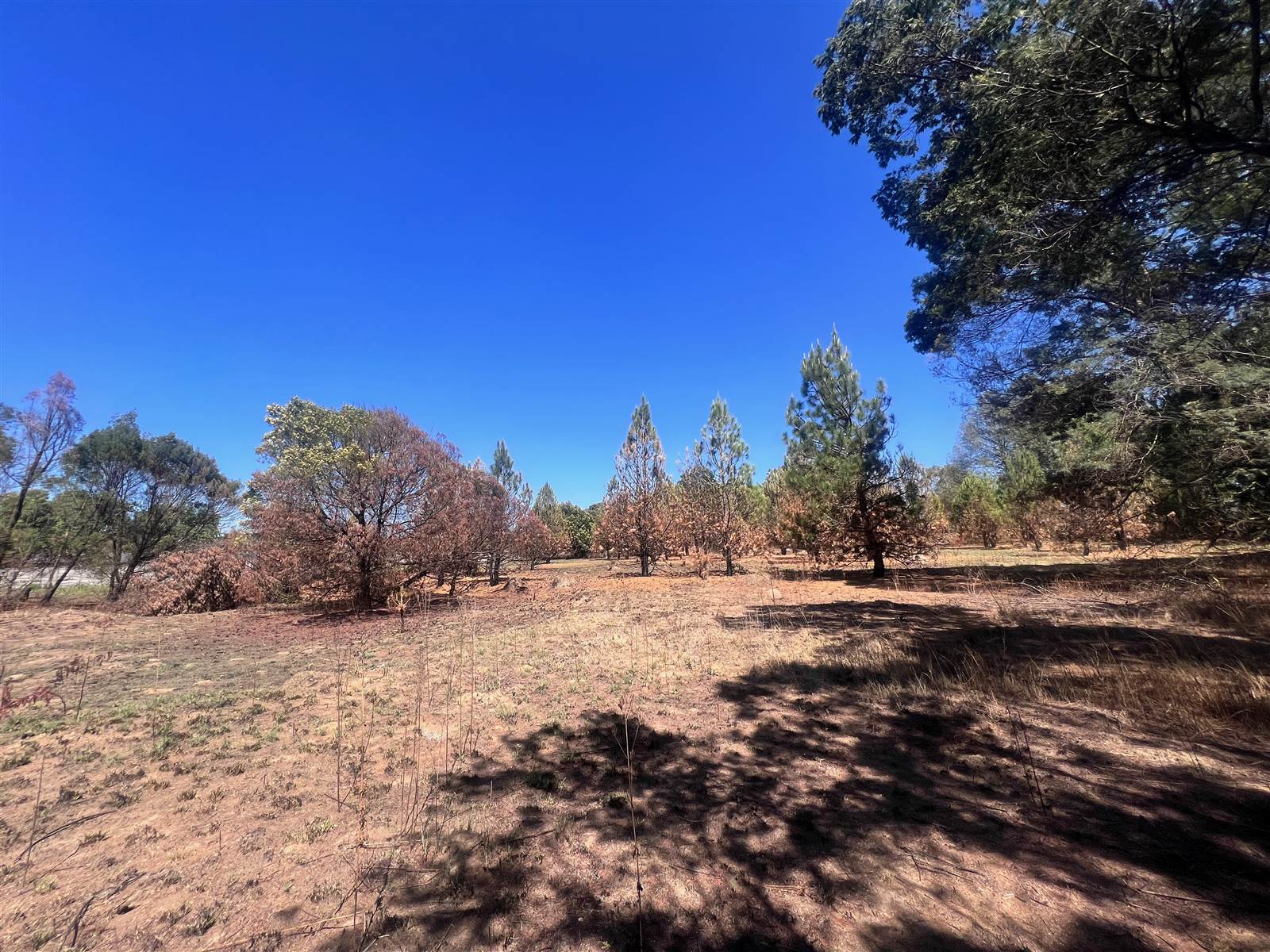 1.7 ha Land available in Glen Austin photo number 16
