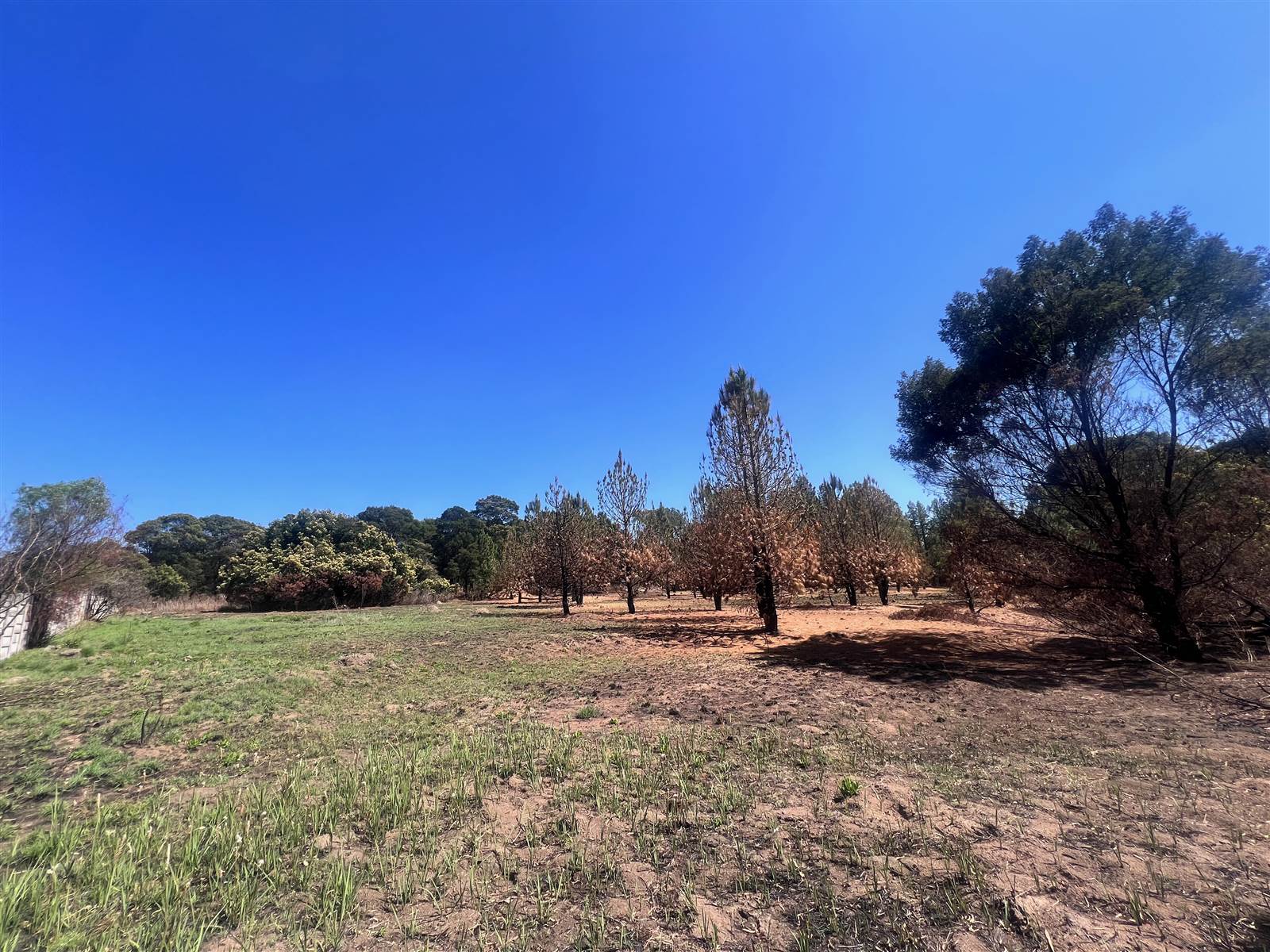 1.7 ha Land available in Glen Austin photo number 6