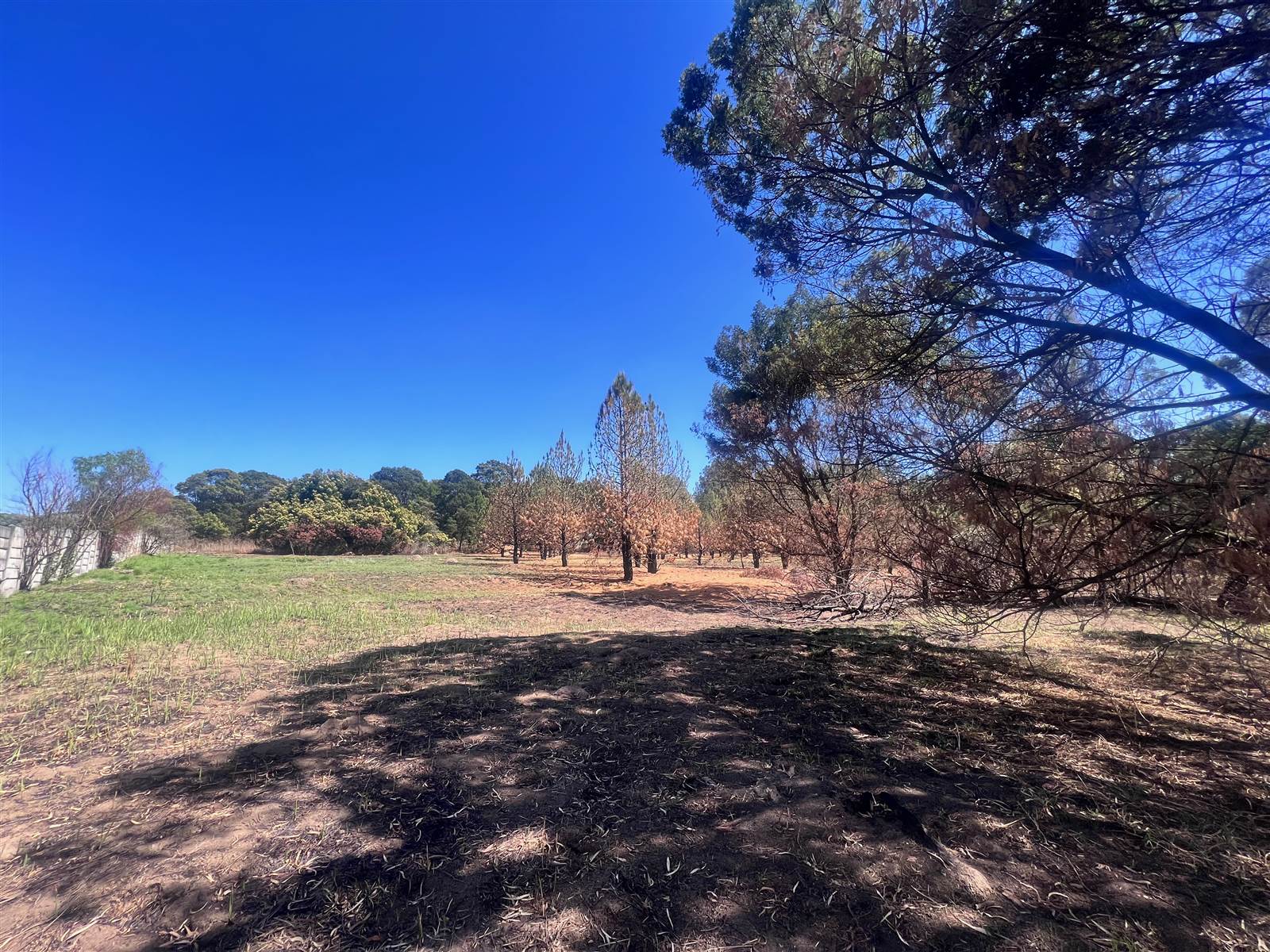 1.7 ha Land available in Glen Austin photo number 5