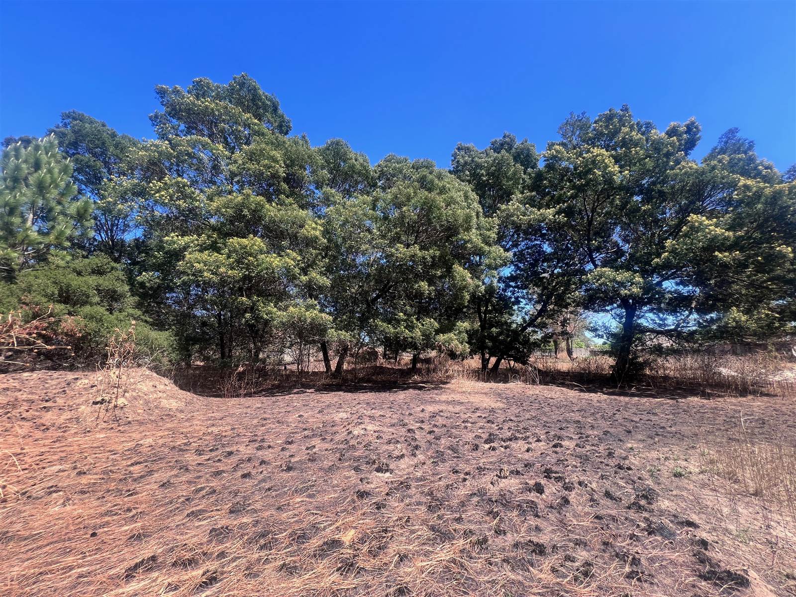 1.7 ha Land available in Glen Austin photo number 12
