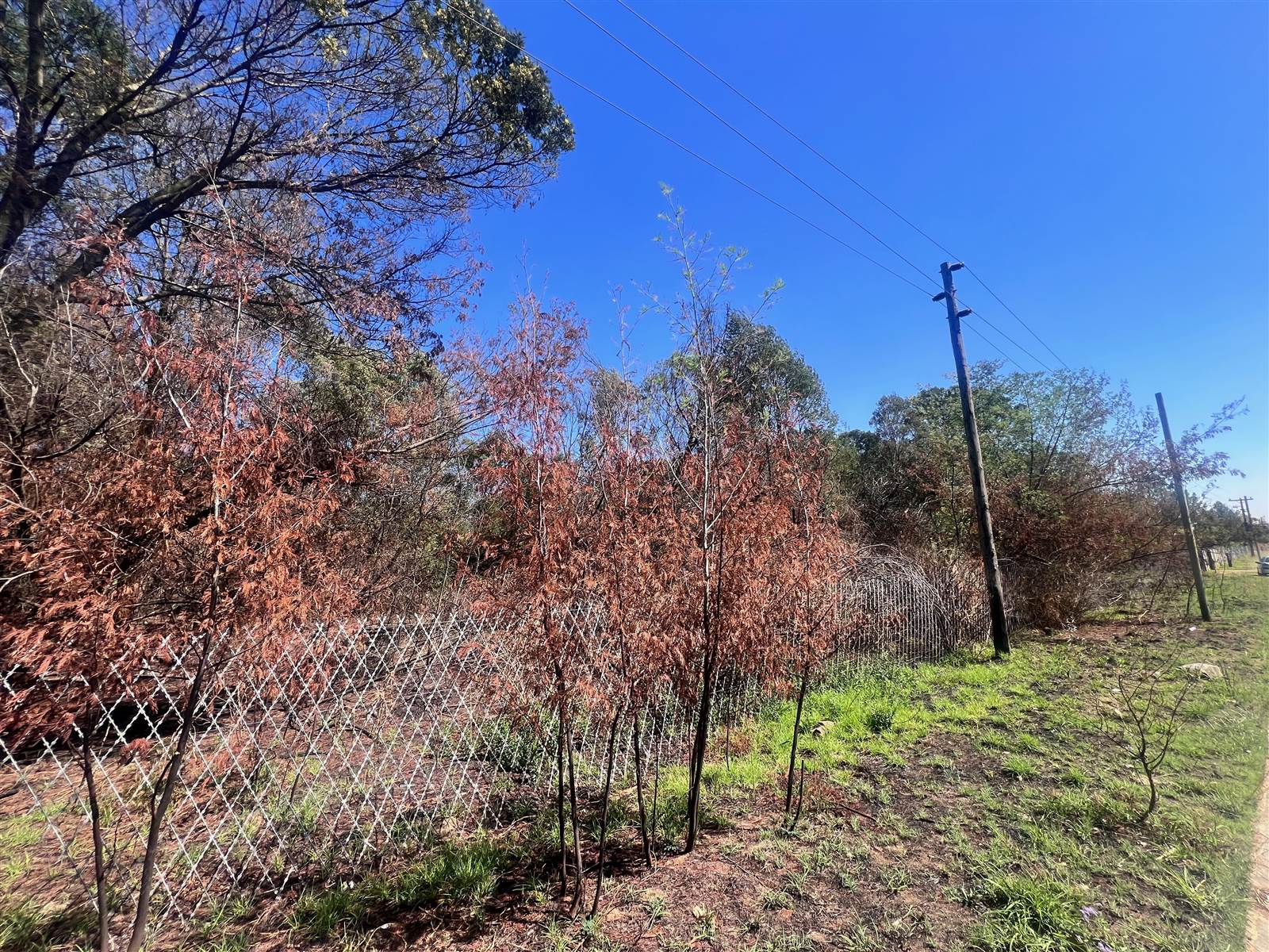 1.7 ha Land available in Glen Austin photo number 3