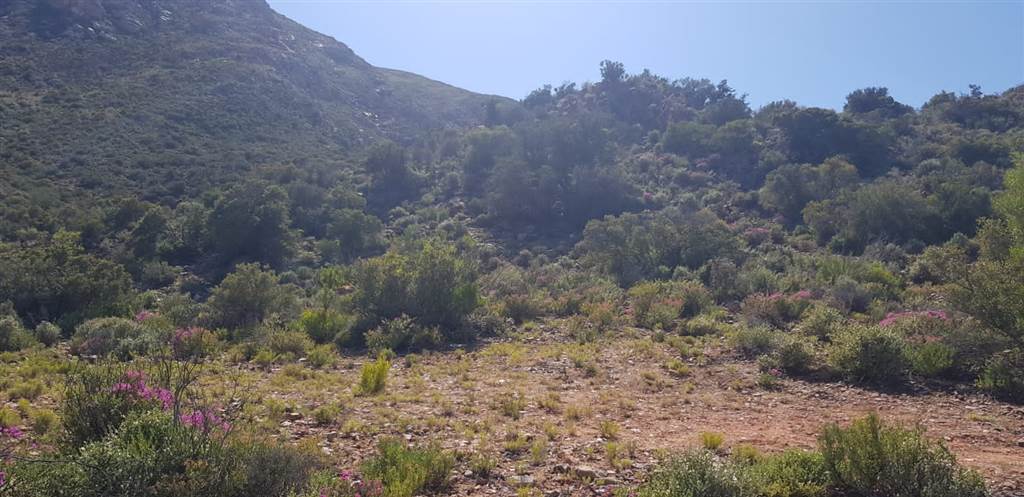 1 ha Land available in Ladismith photo number 7