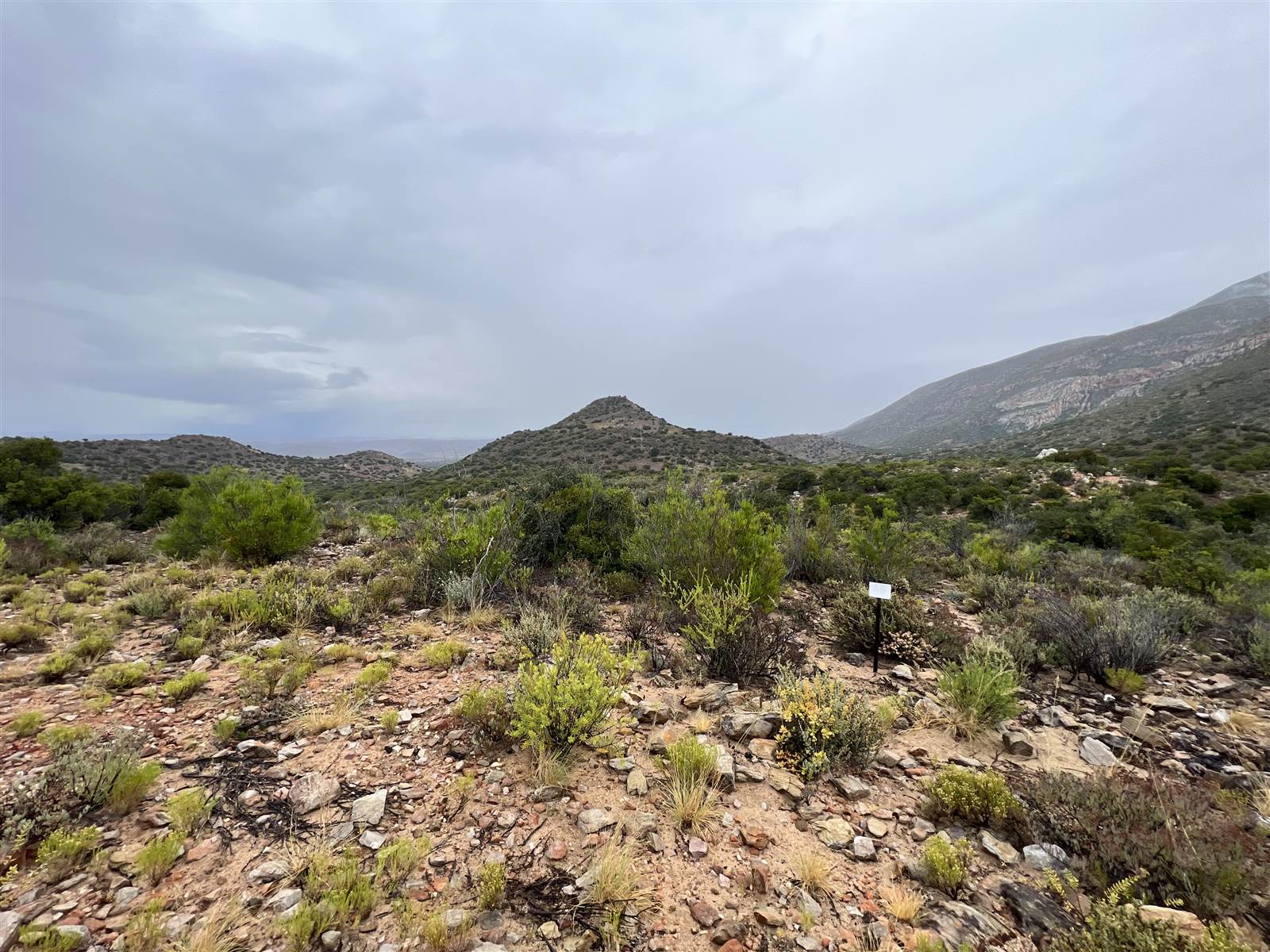 1 ha Land available in Ladismith photo number 21