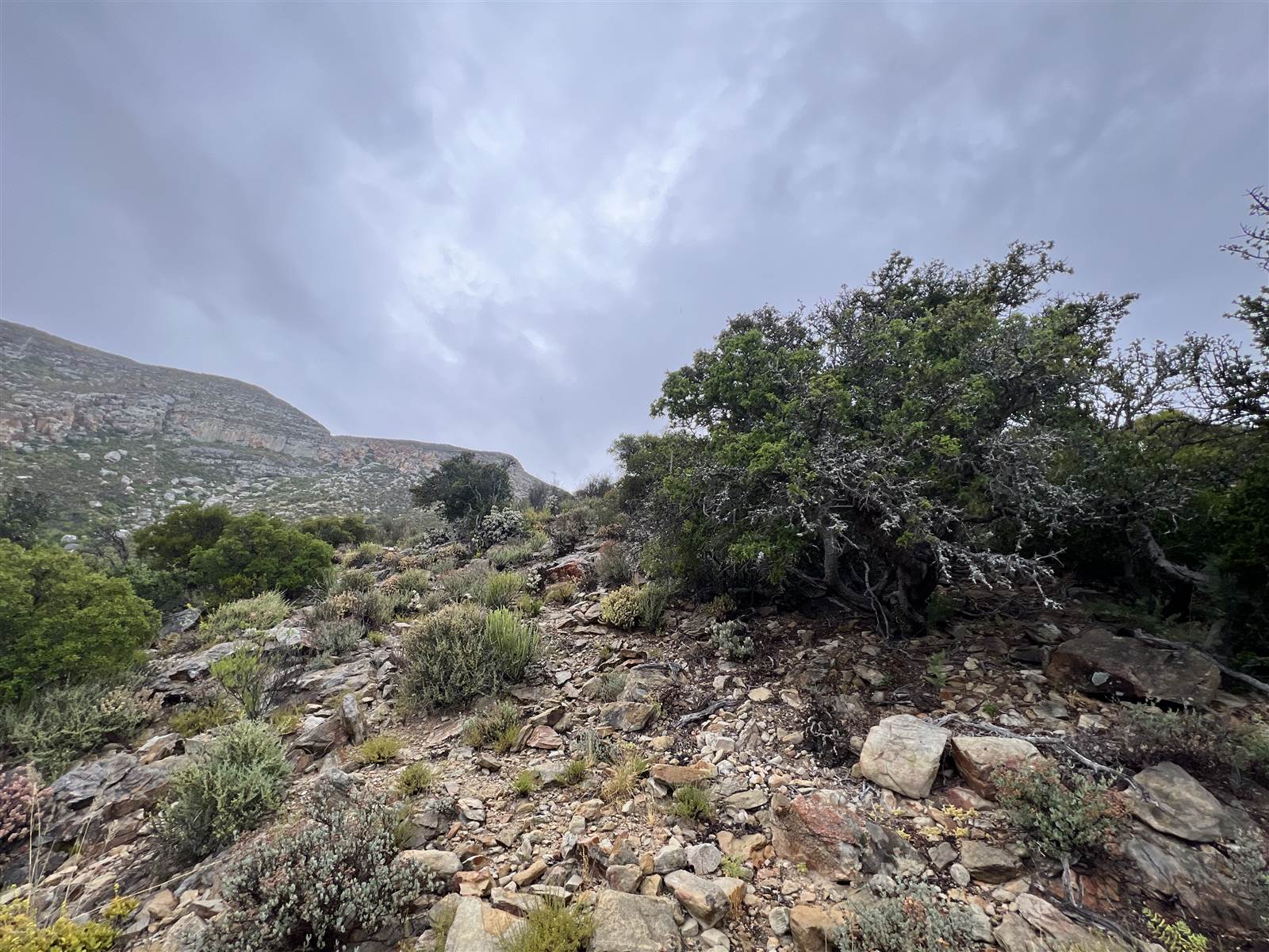 1 ha Land available in Ladismith photo number 23