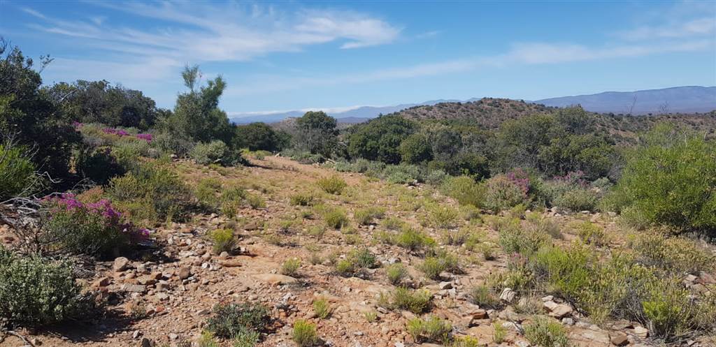 1 ha Land available in Ladismith photo number 10