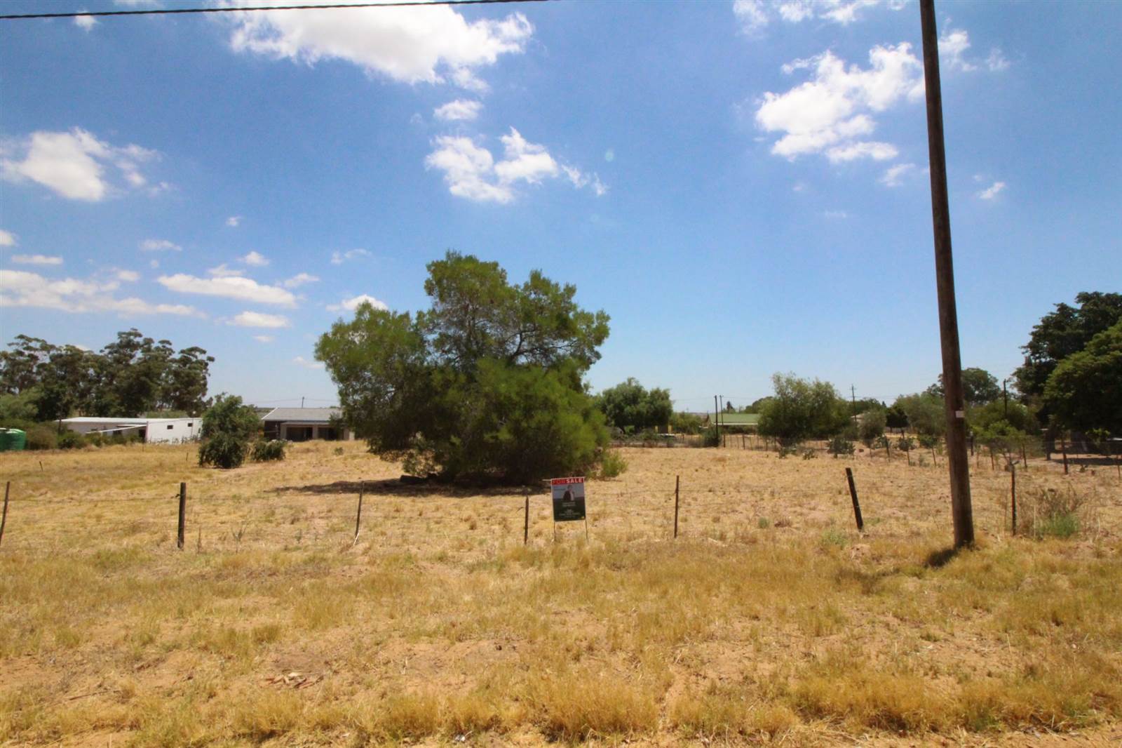 1487 m² Land available in Aurora photo number 8