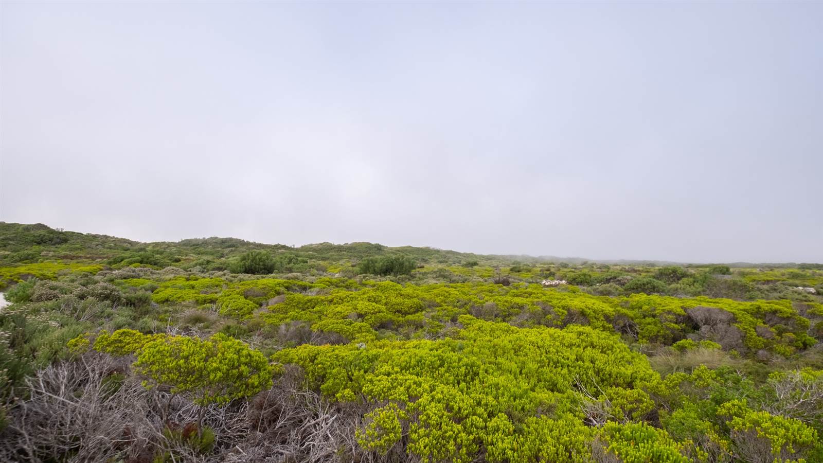 396 m² Land available in Struisbaai photo number 5