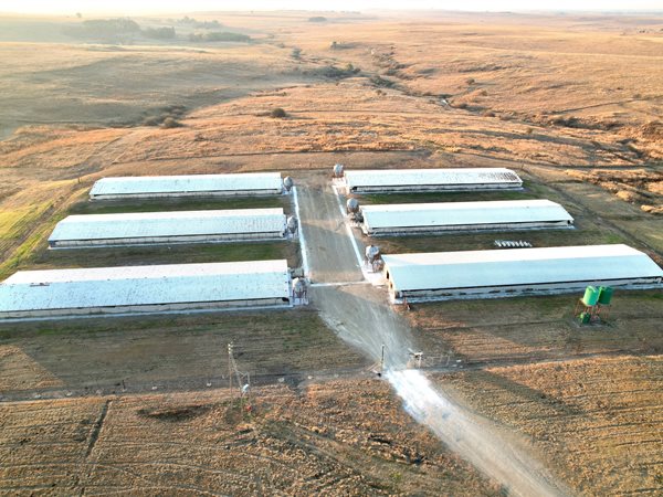 293.4 ha Farm in Delmas
