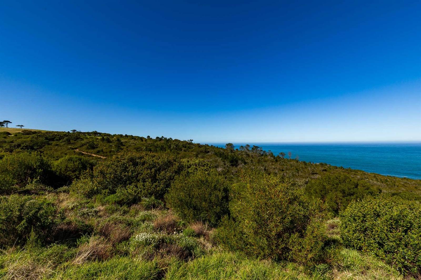 833 m² Land available in Le Grand Golf Estate photo number 10