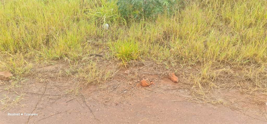 522 m² Land available in Tzaneen photo number 4