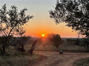 21 ha Land available in Dinokeng