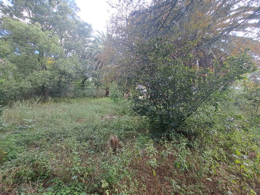 4047 m² Land available in Eastleigh photo number 9