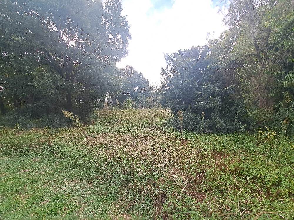 4047 m² Land available in Eastleigh photo number 8