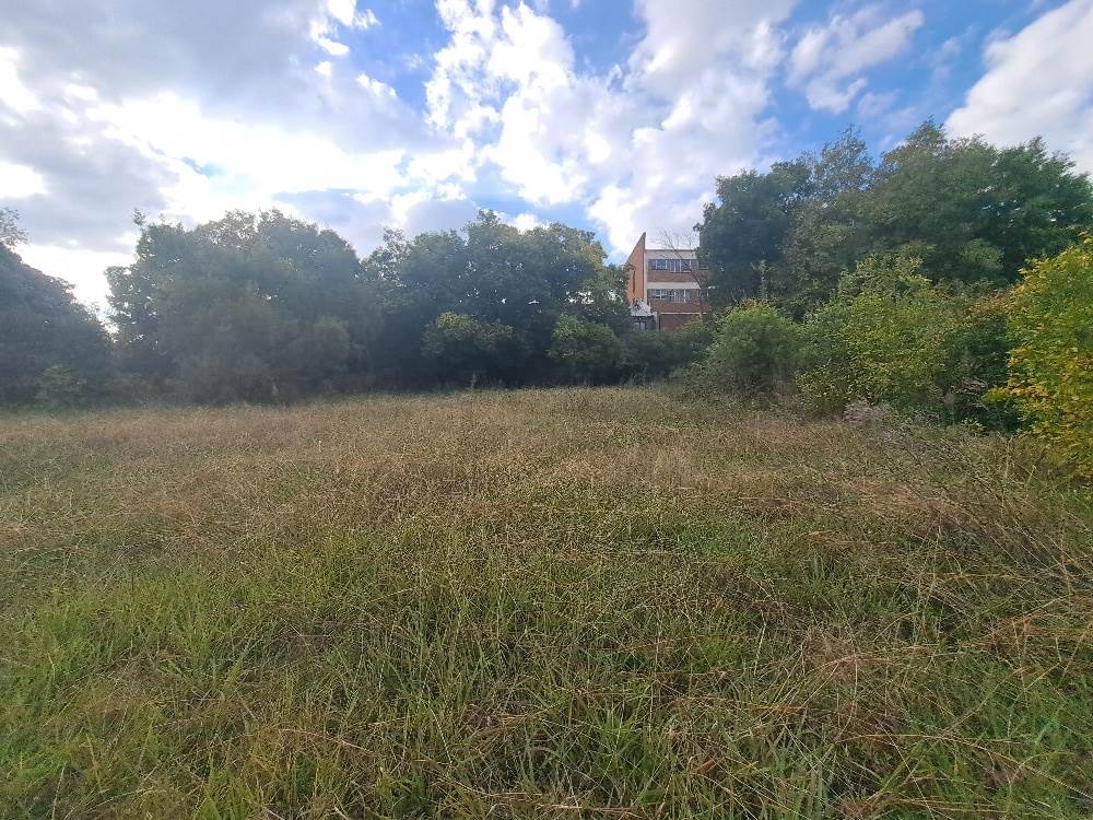 4047 m² Land available in Eastleigh photo number 6