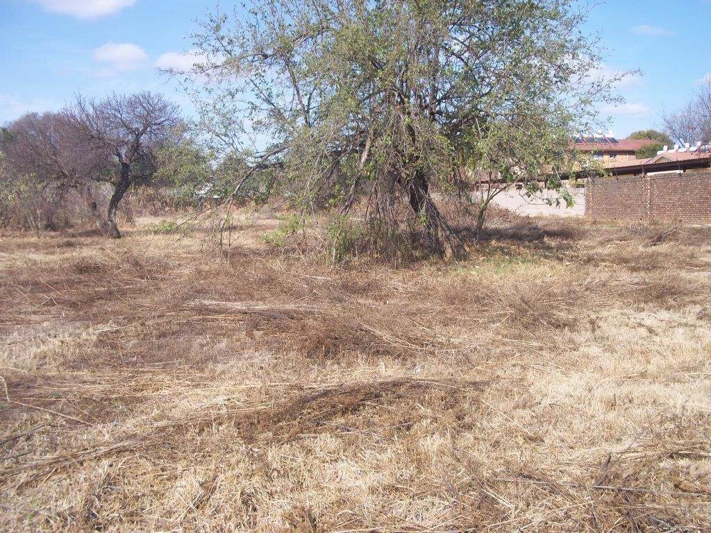 2855 m² Land available in Lydenburg photo number 6