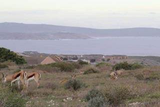 601 m² Land available in Saldanha photo number 2