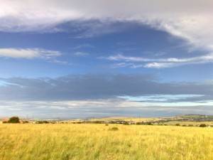 5.3 ha Farm in Sterkfontein and surrounds photo number 4