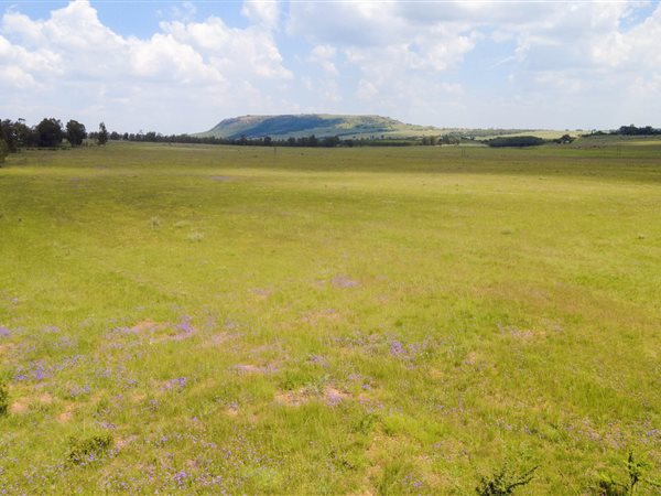 11.6 ha Land available in Hartzenbergfontein
