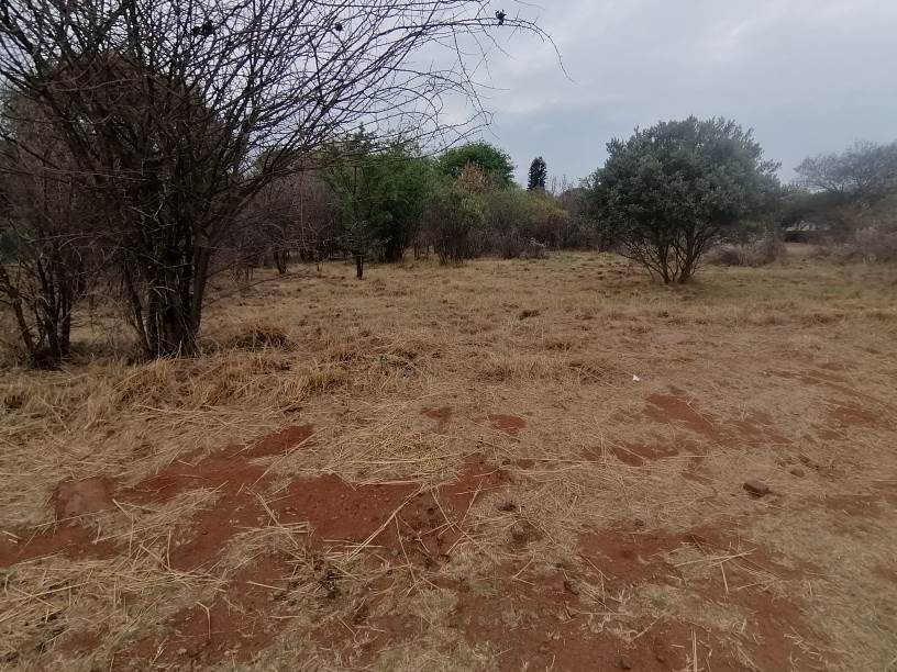 973 m² Land available in Seasons Lifestyle Estate photo number 2
