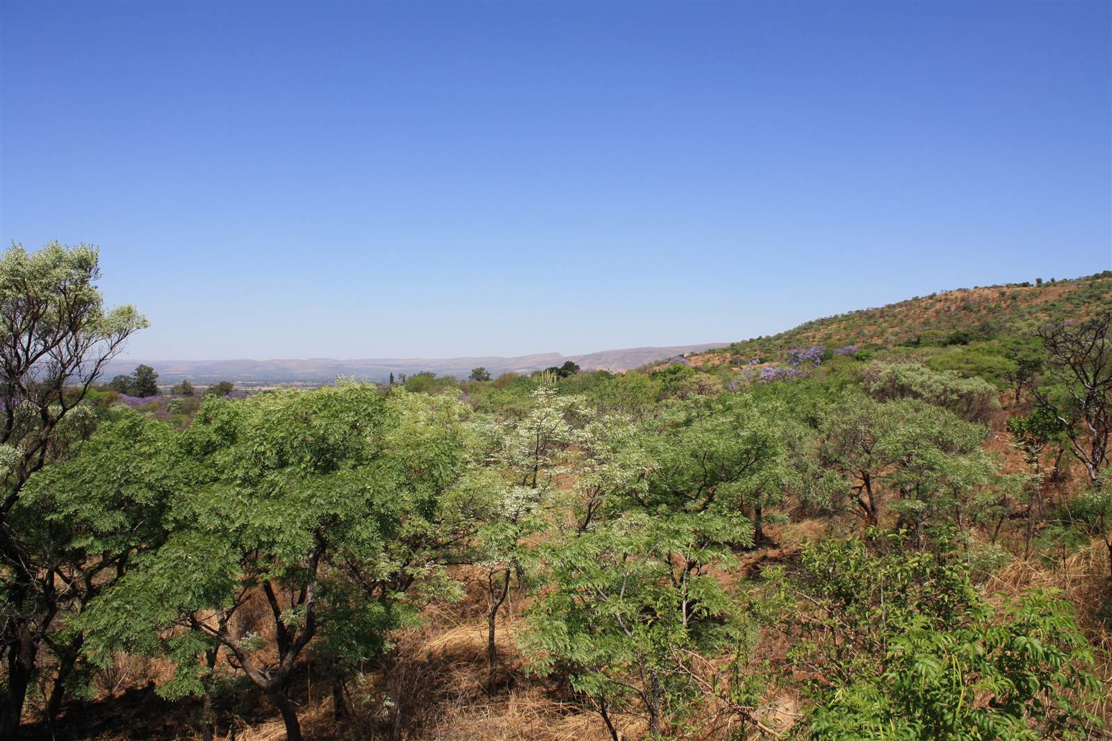 16.2 ha Land available in Waterkloof East photo number 20