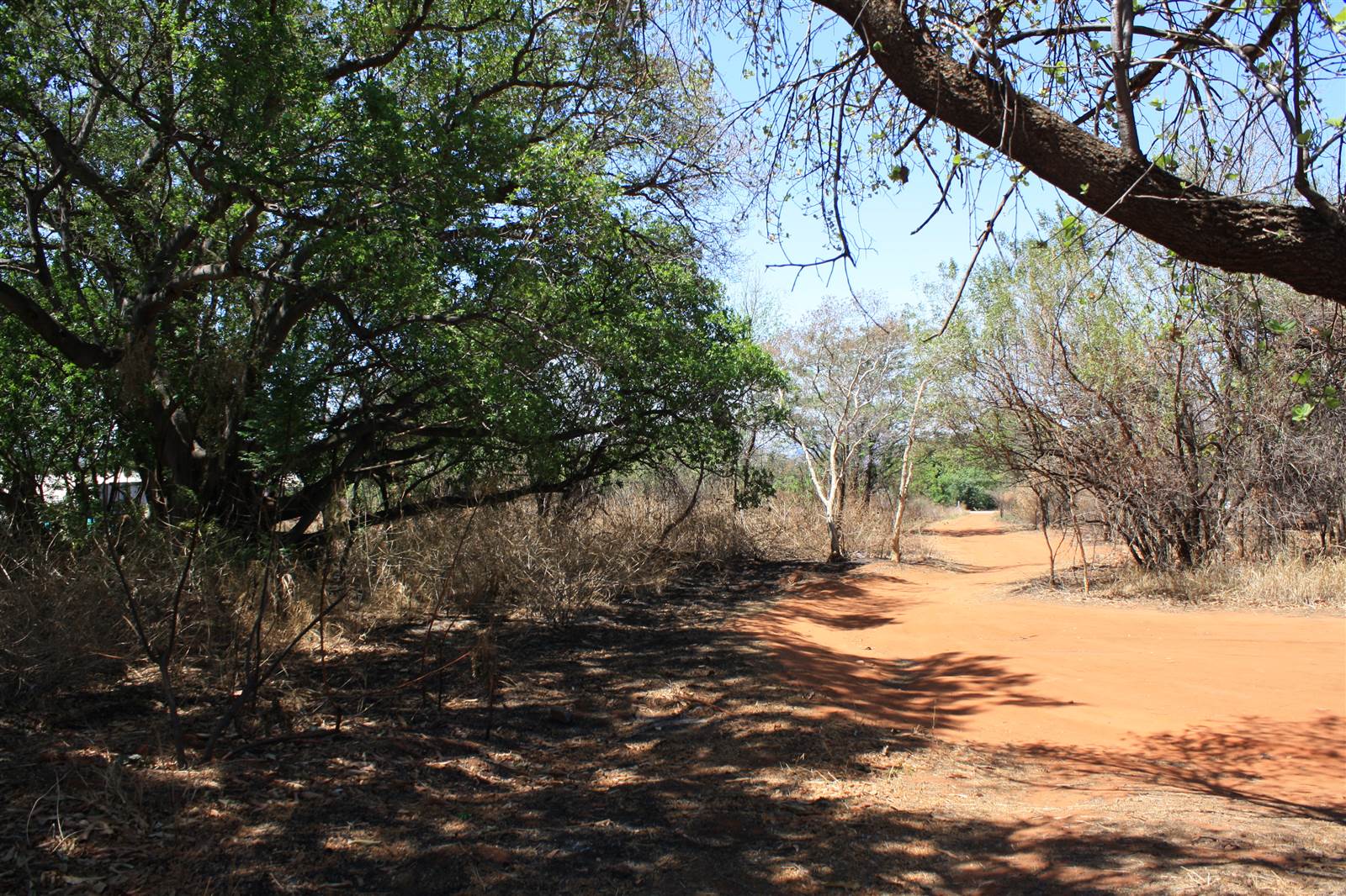 16.2 ha Land available in Waterkloof East photo number 9